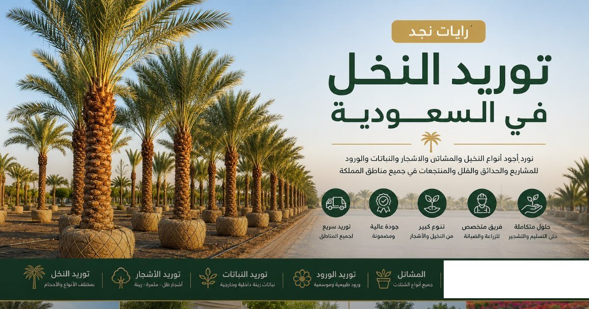 توريد النخل في السعودية | رايات نجد لتوريد النخيل والمشاتل والأشجار