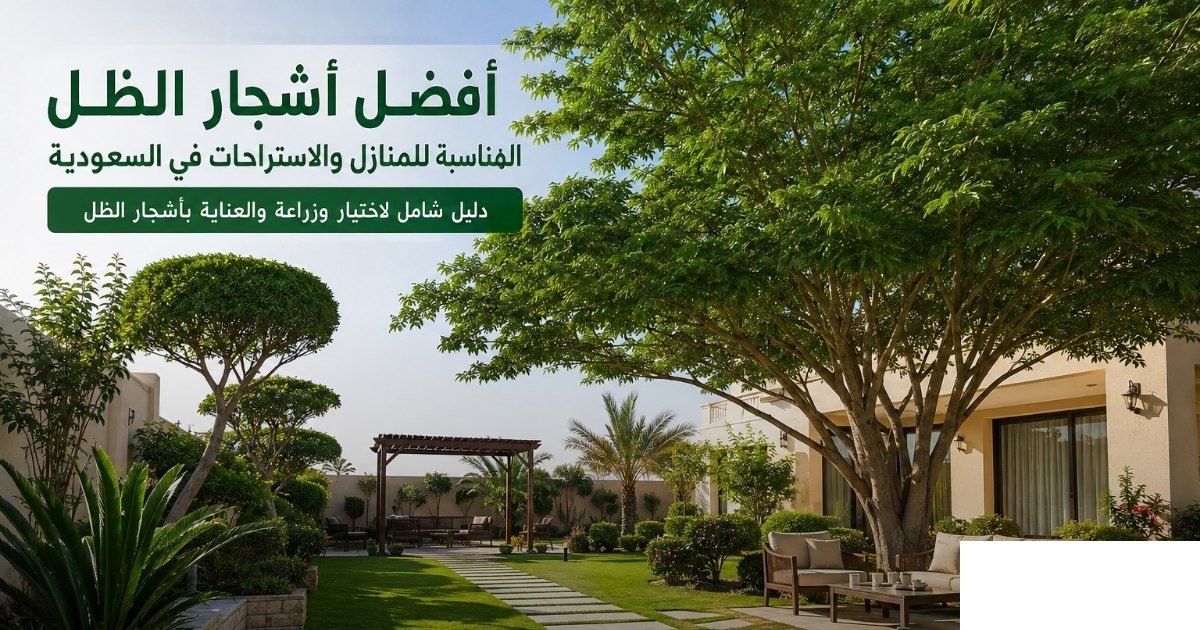 أفضل أشجار الظل للمنازل والاستراحات في السعودية | دليل شامل