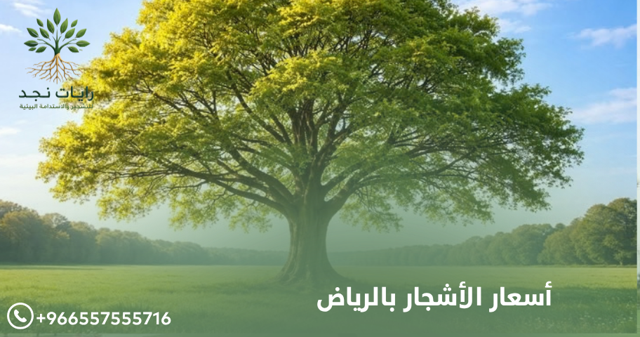 أسعار أشجار الزينة بالرياض