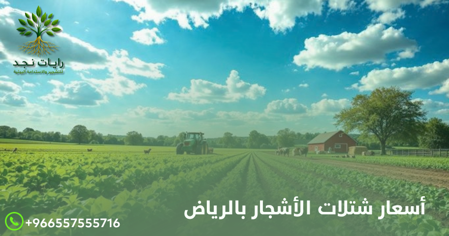 أسعار شتلات الأشجار في الرياض