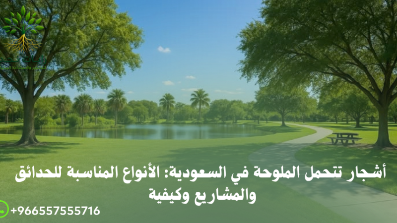 أفضل أشجار تتحمل الملوحة في السعودية