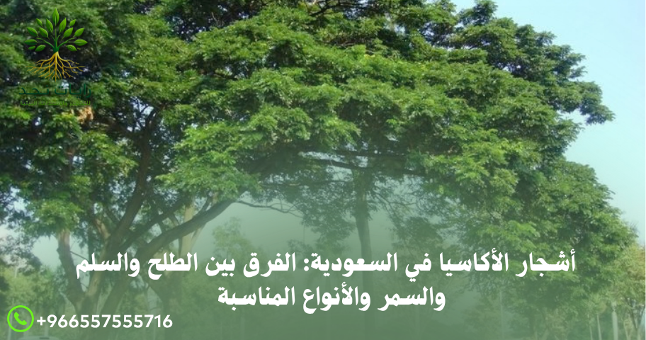الفرق بين الطلح والسلم والسمر