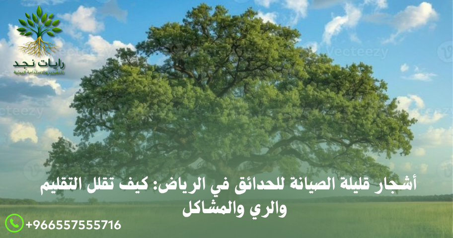 أشجار قليلة الصيانة للحدائق في الرياض: كيف تقلل التقليم والري والمشاكل أشجار زينة مناسبة للرياض