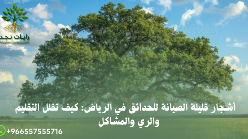 أشجار مناسبة لحدائق الفلل بالرياض