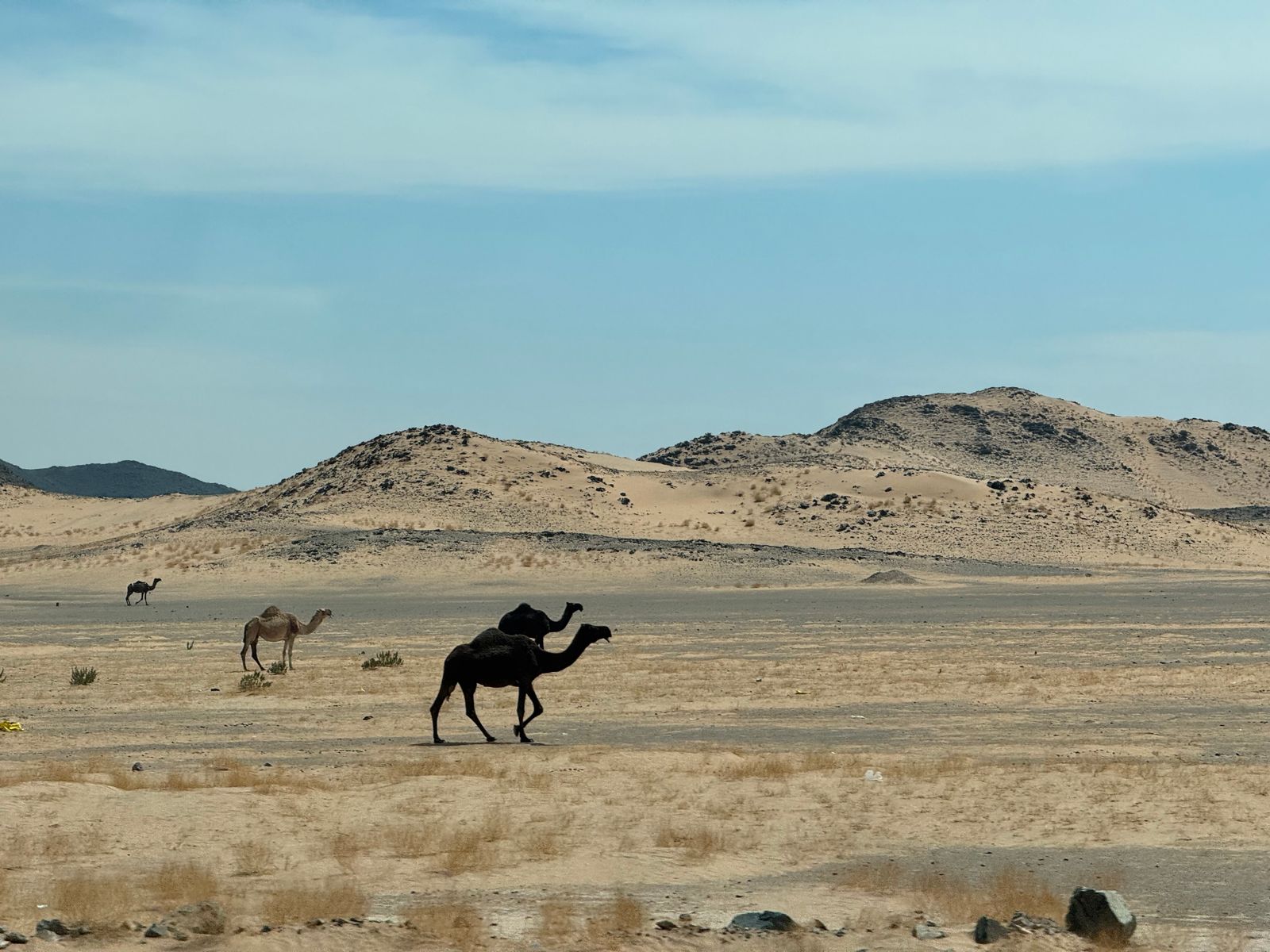 تكوين صخري في صحراء المملكة العربية السعودية