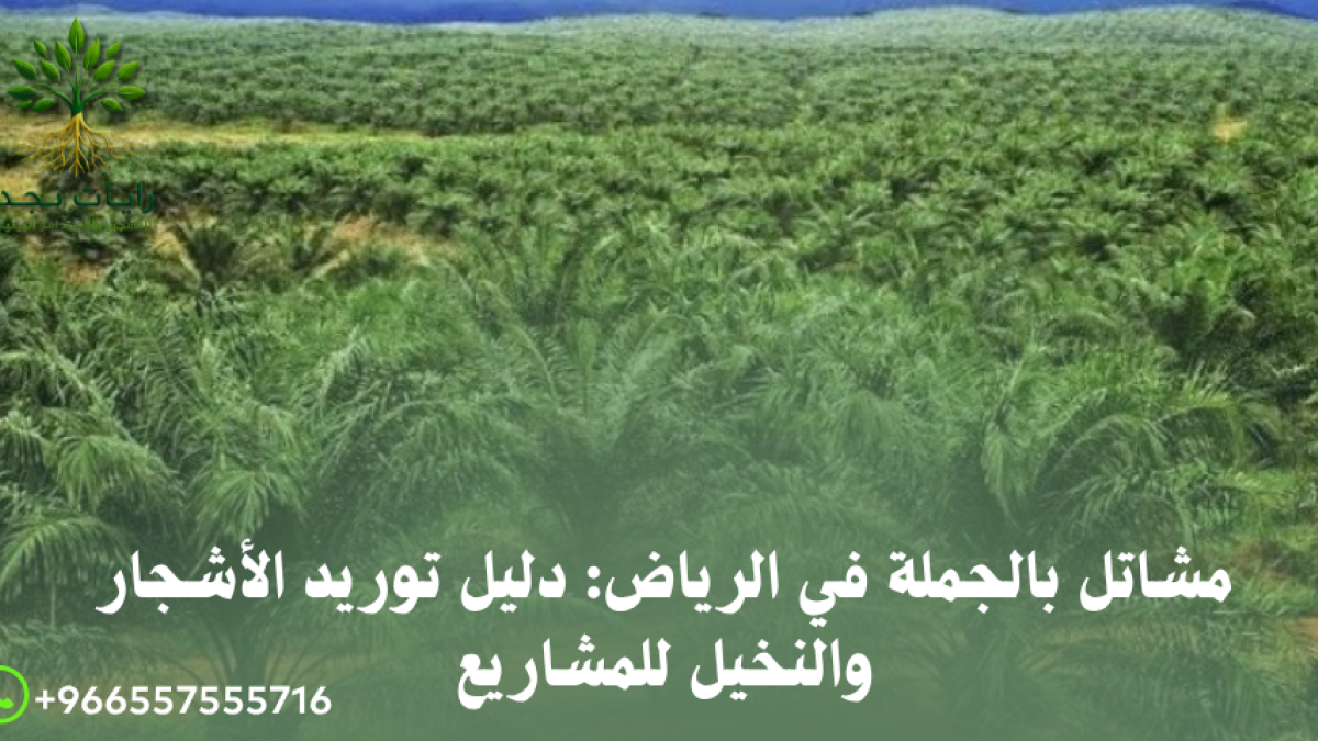 أفضل مشتل جملة للأشجار بالرياض