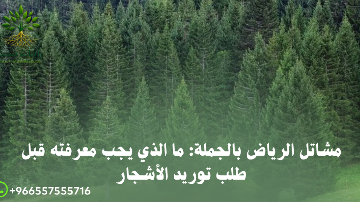 أفضل مشتل بالجملة في الرياض