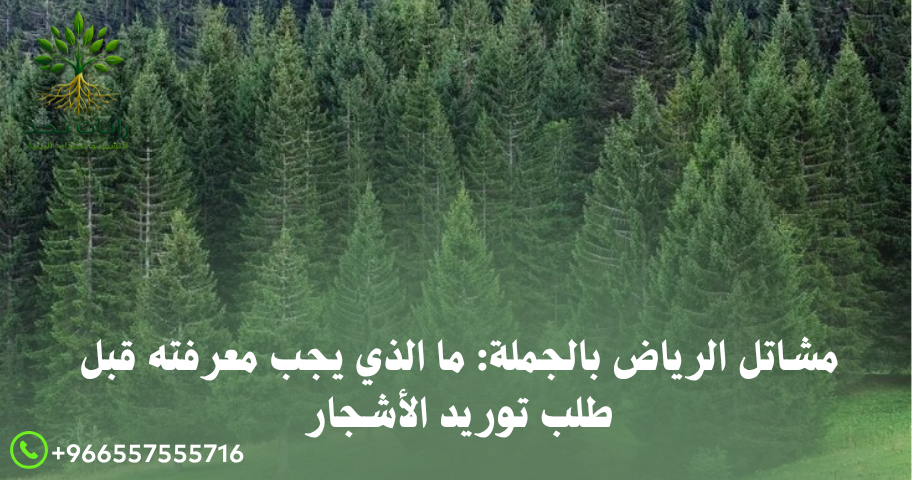 مورد نباتات زينة بالجملة بالرياض