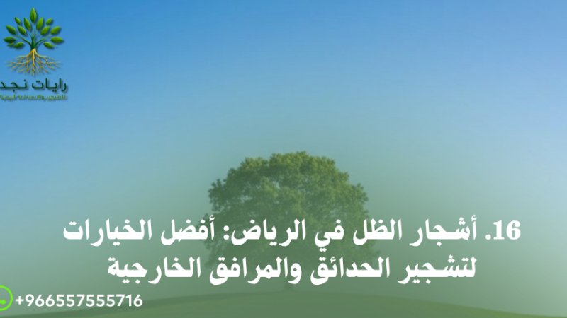 أشجار تتحمل الجفاف في السعودية